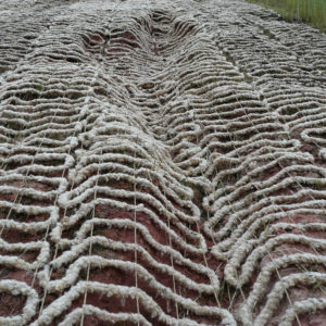Erosionsschutzmatten aus Schafwolle