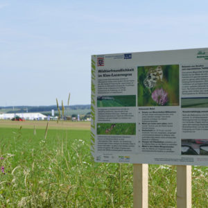 Biodiversitätsrundgang in Frankenhausen