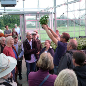Michael Kloss präsentiert den Besuchern Topfbasilikum im Spezialübertopf mit Dochtbewässerung
