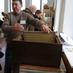 Vladimir Strasser stellt die Funktionsweise von Bienenwaben vor
