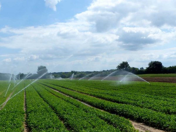 
Projekt zur Erschließung von Wasserressourcen für die Landwirtschaft nimmt Arbeit auf				