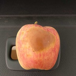 Hitzeschäden - Apfel