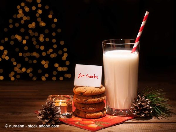 Milch für den Weihnachtsmann