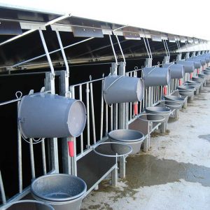 Kostenaufwand durch mehr Kälberboxen auf dem Milchviehbetrieb