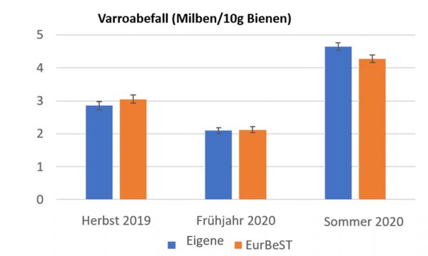 Abb. 4: Obgleich mit höherem Varroabefall im Herbst 2019 gestartet, waren die EurBeST Linien am Ende der Prüfsaison im Sommer 2020 im Durchschnitt geringer befallen als die eigenen Herkünfte der Imker 