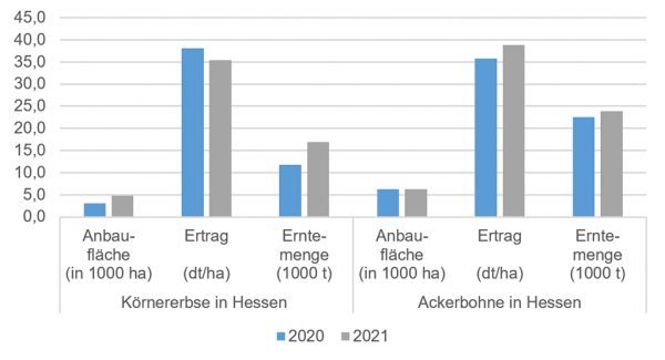 Abb. 1: Anbaufläche, Ertrag und Erntemenge von Körnererbsen und Ackerbohnen in Hessen der Jahre 2020 und 2021 (Quelle: Statistisches Bundesamt (Destatis) 2021)