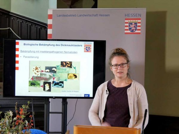 Katharina Schifferstein vom LLH-Beratungsteam Gartenbau bei einem Vortrag zur biologischen Bekämpfung des Dickmaulrüsslers