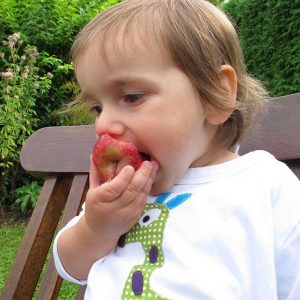 Kleinkind ißt einen Apfel