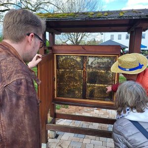 Besuchertag Bieneninstitut 2023
