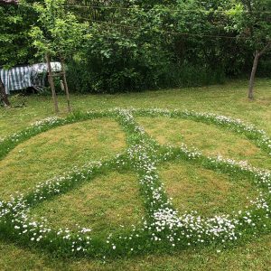Rasen mit Rasenfrisur in Form eine Peace-Zeichens