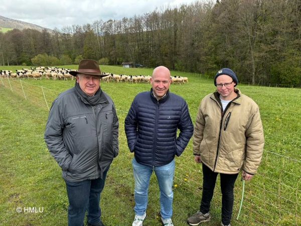 Landwirtschaftsminister Ingmar Jung mit 2 weiteren Personen am Zaun einer Schafweide stehend, im Hintergrund Schafe