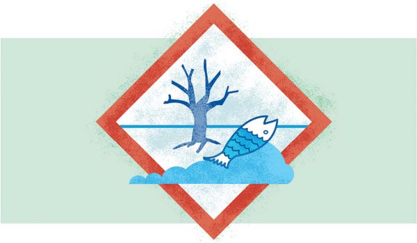 Grafik: Grundwasserschutz, Warnschild, Baum, Fisch, Wasser