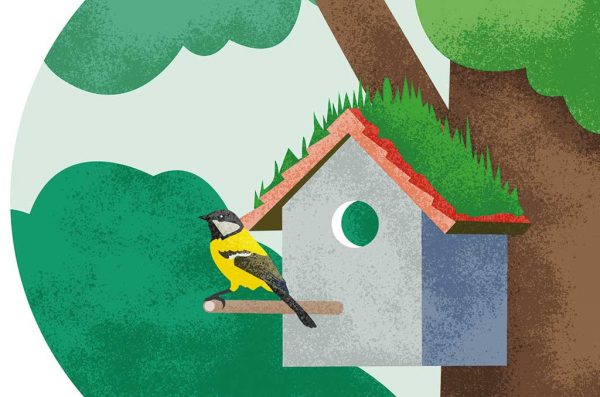 Grafik: Meise sitzt vor einem Vogelhaus mit begrüntem Dach