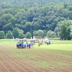 Personengruppe und Trecker auf einem Versuchsfeld; im Hintergrund Pavillions