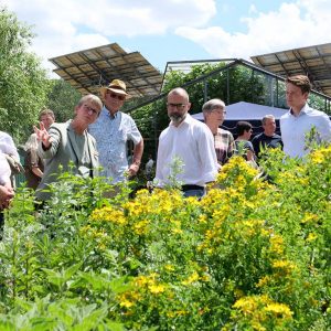 Personengruppe in einem Kräutergarten; im Hintergrund sieht man ein Gewächshaus mit Solarmodulen