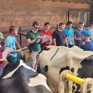 Personengruppe mit Collegeblocks; im Vordergrund Kühe