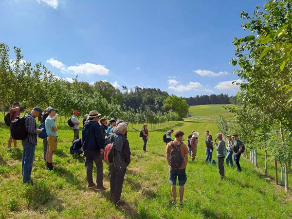 Personengruppe bei einer Führung in einem Agroforstsystem im Spätfrühjahr