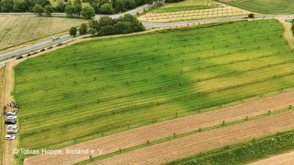 Drohnenaufnahme eines Walnuss-Agroforstsystems; Foto: © Tobias Hoppe, Bioland e. V.