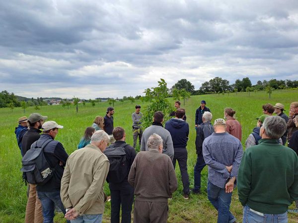 Personengruppe in einem Agroforstsystem