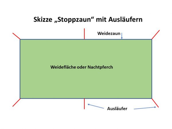 Skizze einer Weidefläche