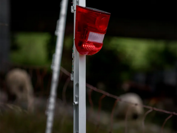 Solarbetriebenes Wolfsabwehrblinklicht