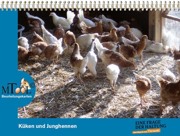 Tierbeurteilungskarte für Küken und Junghennen