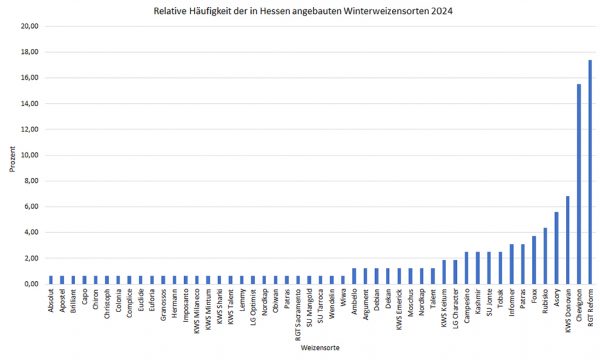 Säulendiagramm, welches die relative Häufigkeit der Sorten in Hessen im Winterweizen der besonderen Ernte- und Qualitätsermittlung 2024 darstellt.