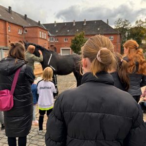 Das Bild zeigt eine Gruppe von Menschen, die sich um ein Pferd versammelt haben, das mit weißen Linien auf der Schulter und er sogenannten Vorderhand hat.