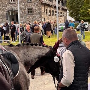 Das Bild zeigt einen Mann und ein schwarzes Pferd im Vordergrund. Das Pferd trägt eine Startnummer 046, die an der Trense des Pferdes befestigt ist. Es hat eingeflochtenes Mähnenhaar und trägt einen Sattel der teilweise mit einer Decke bedeckt ist. Der Mann steht neben dem Pferd und scheint es zu betreuen. Rechts daneben ist eine Person in Reitkleidung .