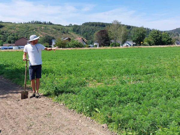 Mann neben Möhrenfeld, im Hintergrund Wohnbebauung und Wald, der Himmel ist leicht bewölkt