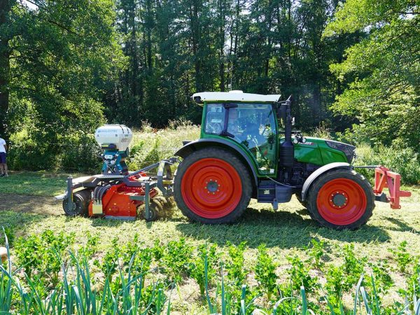 Traktor mit Anbaumaschine, im Vordergrund stehen Knollensellerie und Porree, im Hintergrund ist ein Wald