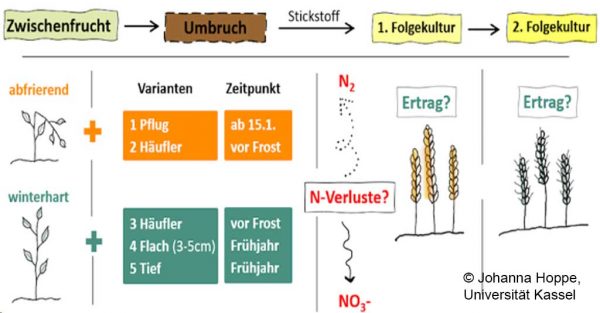 Zu sehen ist das Versuchsdesign des Projekts Umkreis