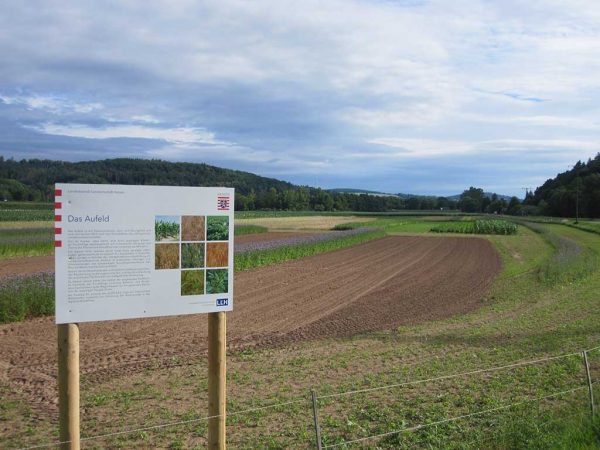 Blick auf das Aufeld: vorne die Übungsfläche, hinten die zwei Schläge mit der achtgliedrigen Fruchtfolge