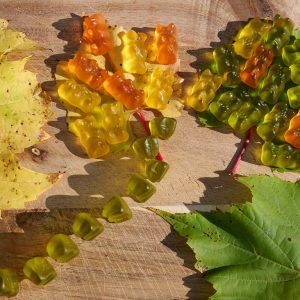 Auf dem Foto sieht man vergleichend in Form von Gummibärchen bei einem grünen und einem gelben Blatt, wie die grünen „Chloris“ aus dem Blatt gezogen werden. Dann werden die noch verbleibenden Farbstoffe, die gelben „Xanthos“ und die orangefarbenen „Carottis“ sichtbar. Das Blatt erscheint also im Herbst gelb bis orange