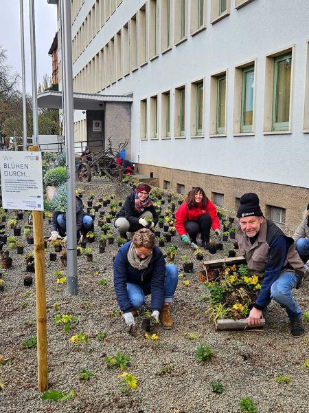 Personengruppe beim Pflanzen von Stauden und Gräsern