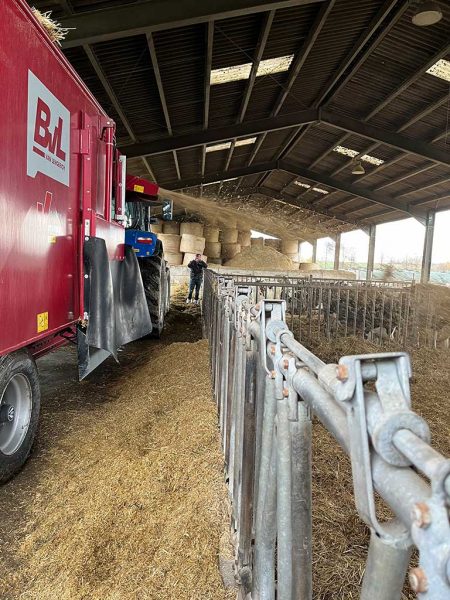 Schlepper mit rotem Futtermischwagen neben einem Fangfressgitter