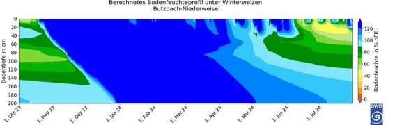 Abb. 3: Bodenfeuchteprofil für den Standort Butzbach-Niederweisel unter Winterweizen; nFK: nutzbare Feldkapazität (Quelle: DWD, https://www.dwd.de/DE/fachnutzer/landwirtschaft/appl/bf_view/_node.html)