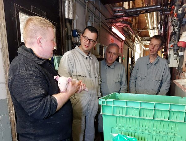 4 Personen in einem Stallgebäude. Die linke Person hält ein Ferkel auf dem Arm. Die drei übrigen Personen in grauen Overalls schauen diese Person an.