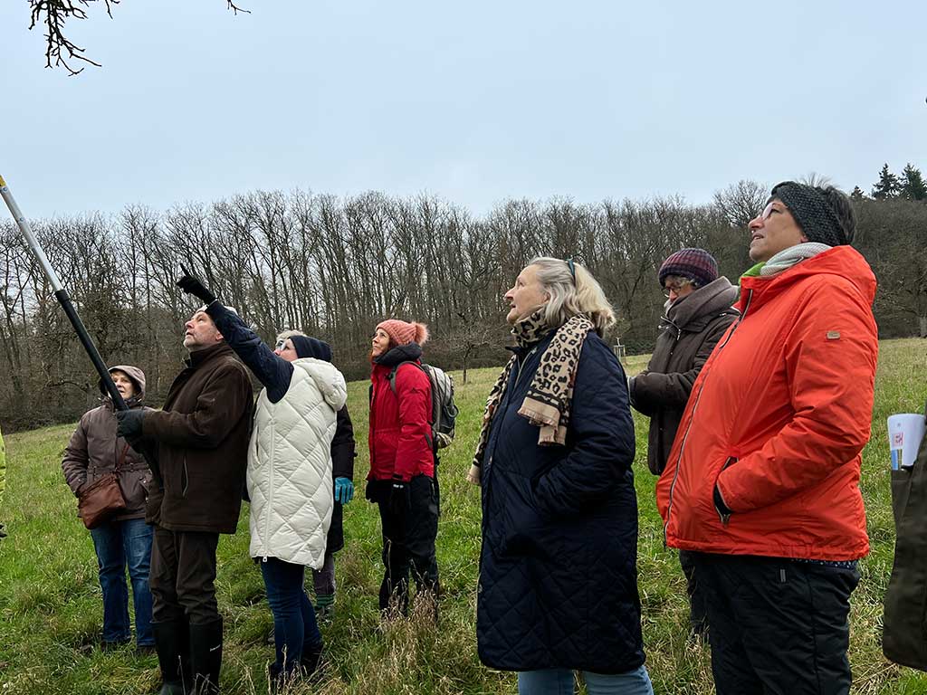 Personengruppe auf einer Streuobstwiese beim Onstbaumschnitt