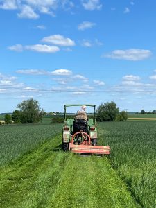 Traktor mit Mähwerk beim Mulchen eines Weges zwischen zwei grünen Getreidebeständen, der Himmel ist leicht bewölkt.