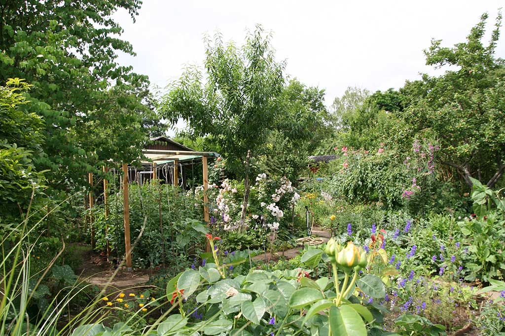 Blick in einen Garten mit vielfältigen Strukturen wie höheren Pflanzen in verschiedenen Wuchshöhen