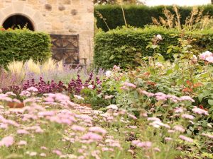vielfältige blühende Pflanzen in einem Garten; im Hintergrund eine Hecke und ein Gebäude