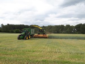 Feldhäcksler bei der Ernte auf einem teilweise abgeernteten Feld, im Hintergrund Bäume, der Himmel ist bewölkt.