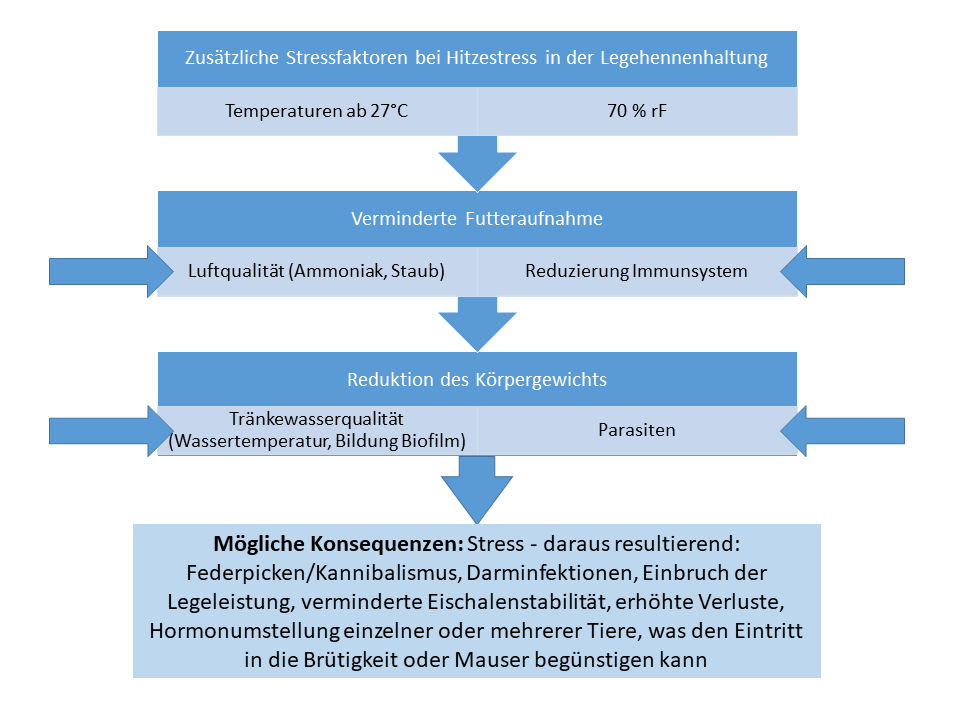 Die Graphik fasst zusätzliche Stressfaktoren zusammen. Dazu zählen u.a. Parasiten oder mangelnde Trinkwasserqualität