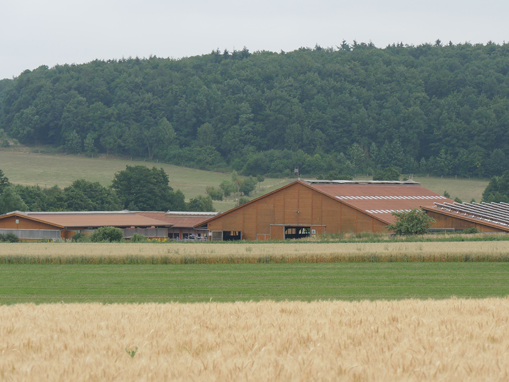 Stallgebäude, im Vordergrund Felder, im Hintergrund ein Wald
