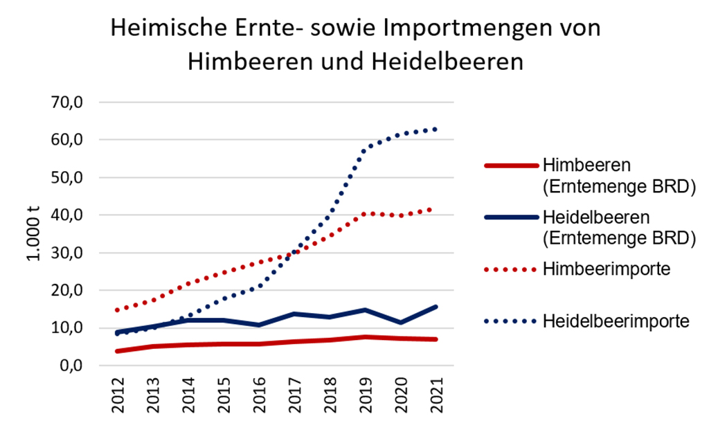 Abb. 1: Heimische Ernte- sowie Importmengen von Himbeeren und Heidelbeeren; Zahlen für 2021 sind vorläufig (Quelle: Statistisches Bundesamt)