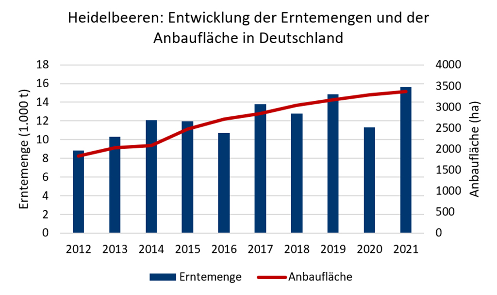 Abb. 3: Entwicklung der Erntemengen und Anbaufläche von Heidelbeeren in Deutschland in den Jahren 2012 bis 2021; Zahlen für 2021 sind vorläufig (Quelle: Statistisches Bundesamt)