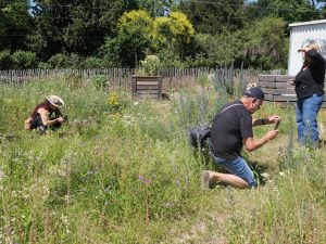 Drei Teilnehmende des Lehrgangs fotografieren konzentriert Blumen auf einer Blumenwiese an der Gartenakademie im Rahmen des Fotoworkshops