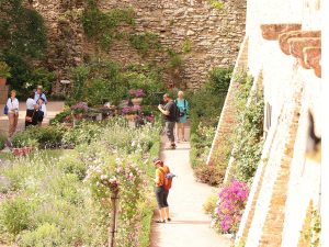 Die Teilnehmenden genießen die Zeit im Eltviller Rosengarten. Von der Treppe aus erkennt man die Bepflanzung aus Stauden und Rosen sowie die steinernen Wände ringsherum besonders gut.