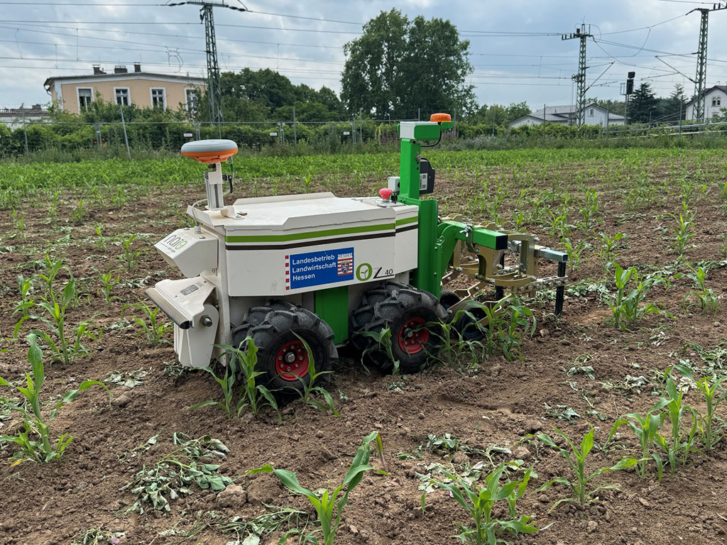 Kleiner Hackroboter in einem Feld mit jungen Maispflanzen, im Hintergrund ist eine Bahntrasse